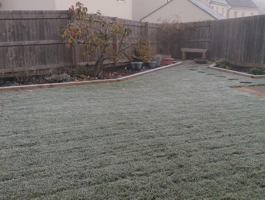 A frost-covered garden on a misty morning. The lawn is coated with a thin layer of white frost, bordered by flower beds and a variety of potted plants. A wooden bench sits at the back near a wooden fence, surrounded by the dormant, leafless branches of plants, hinting at the quiet of winter